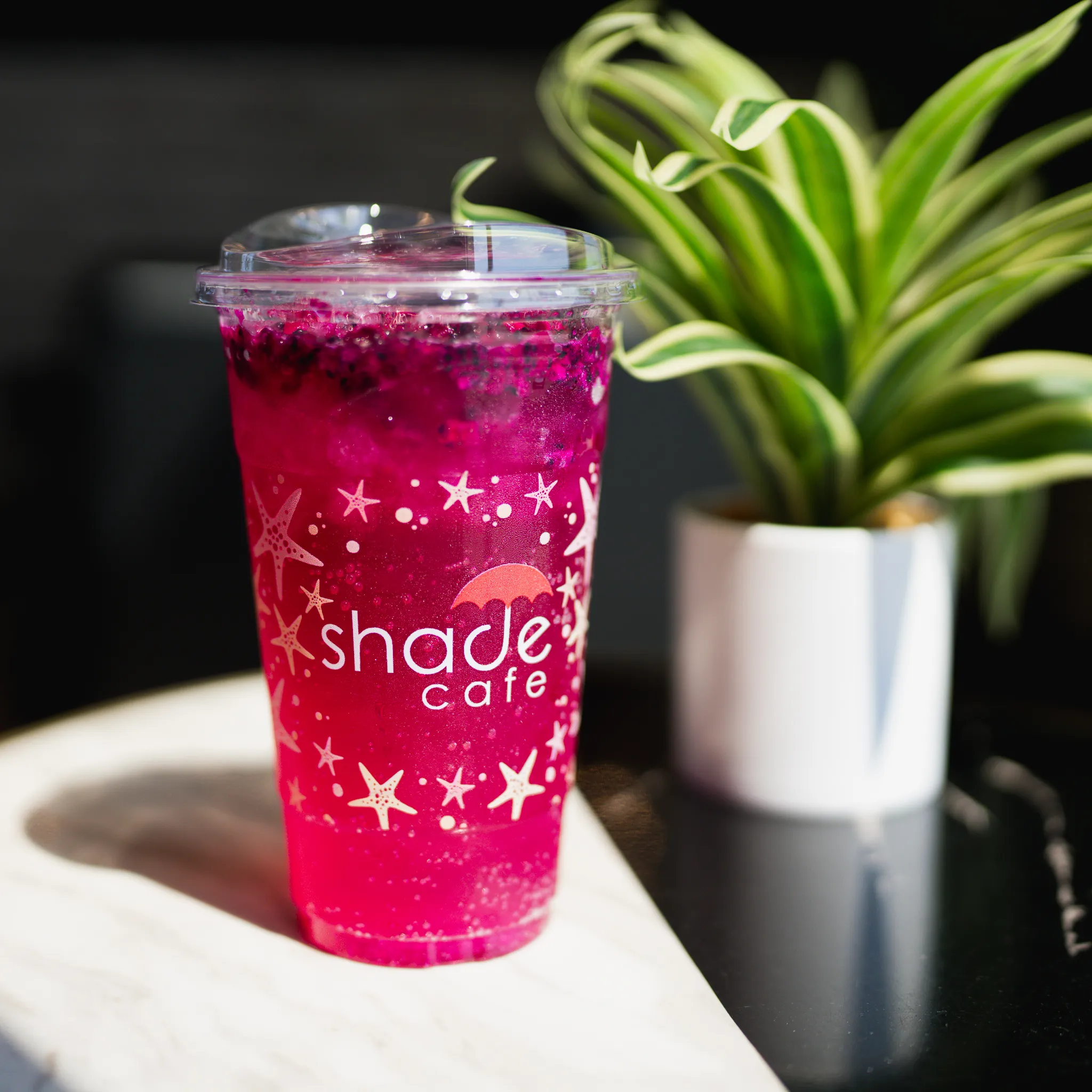 Tropical Mountain dirty soda from Shade Cafe Richland